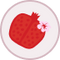Pomegranate Hibiscus